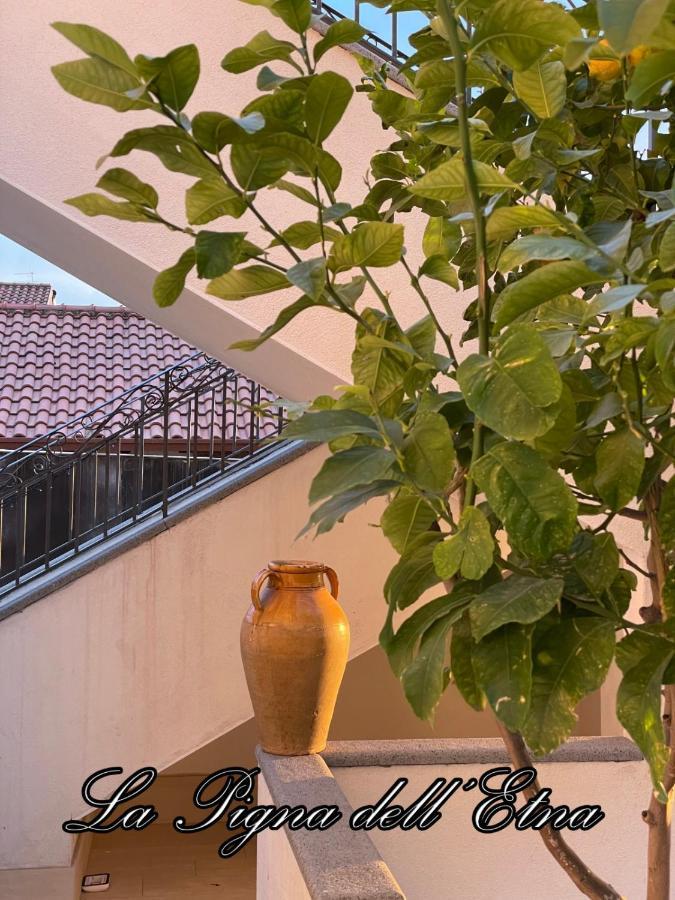 La Pigna Dell'Etna Apartment Nicolosi Exterior photo