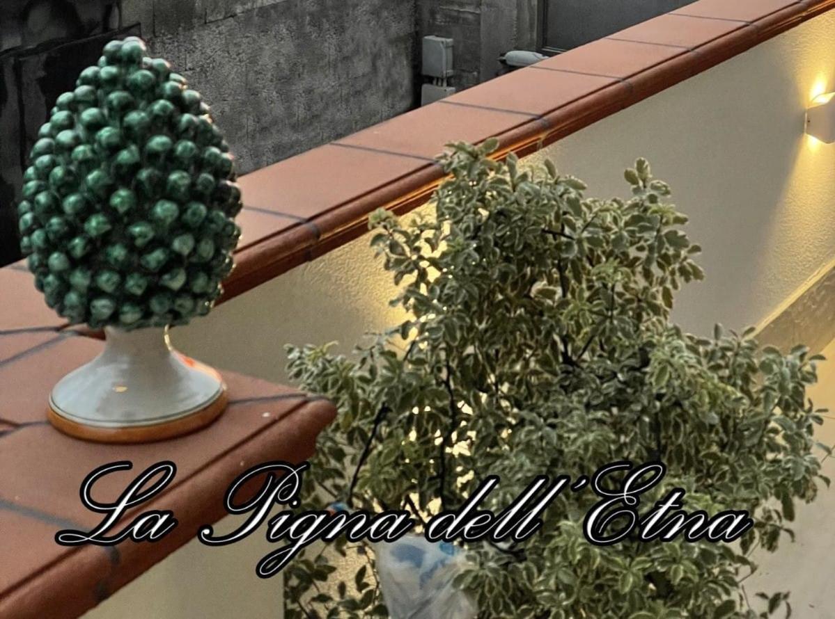 La Pigna Dell'Etna Apartment Nicolosi Exterior photo